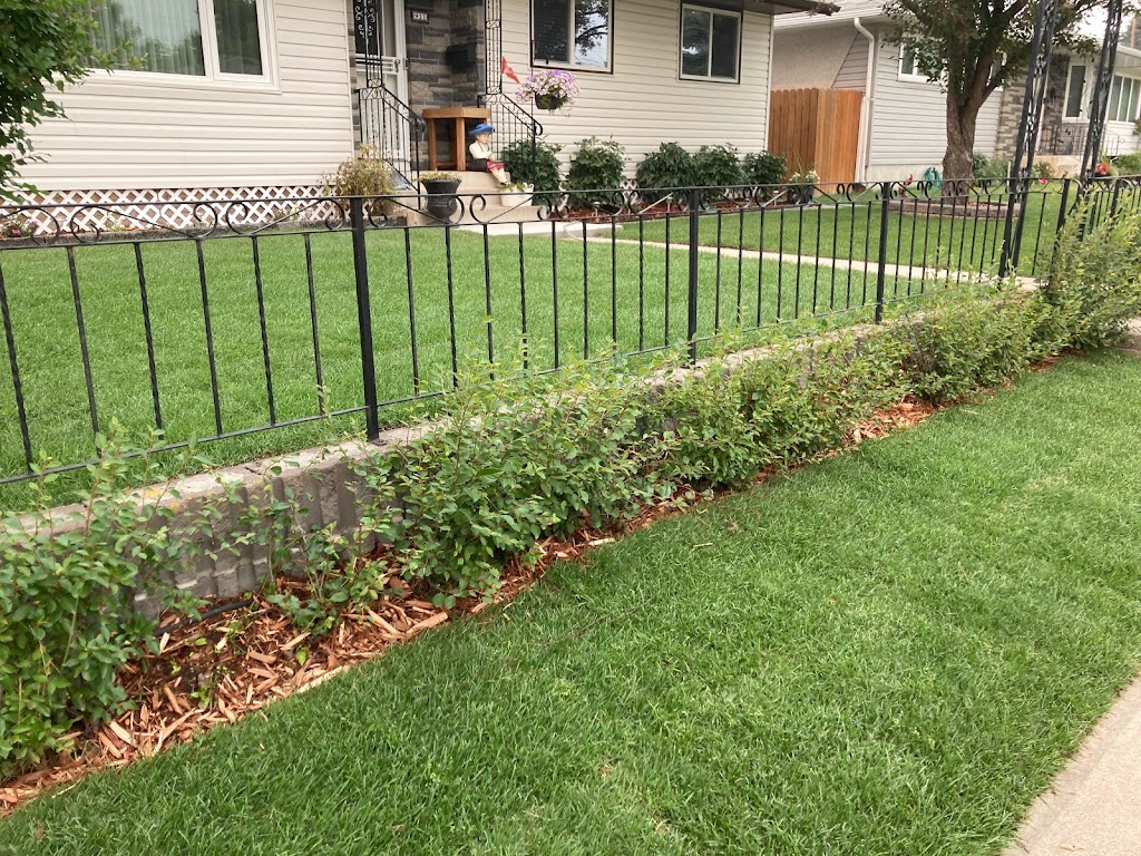 Mr.Floods Lawn & Garden | 23 Citadel Pass Cres NW, Calgary, AB T3G 3V1, Canada | Phone: (403) 629-8424