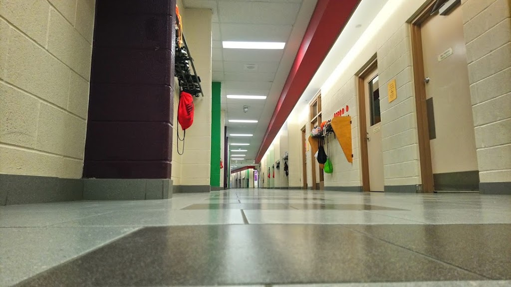 Plum Tree Park Public School | 6855 Tenth Line W, Mississauga, ON L5N 4Y6, Canada | Phone: (905) 824-0155