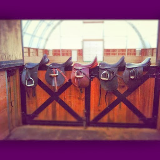 Allbright Equestrian Centre | 563 Allbright Rd, Uxbridge, ON L9P 1R4, Canada | Phone: (905) 556-0626