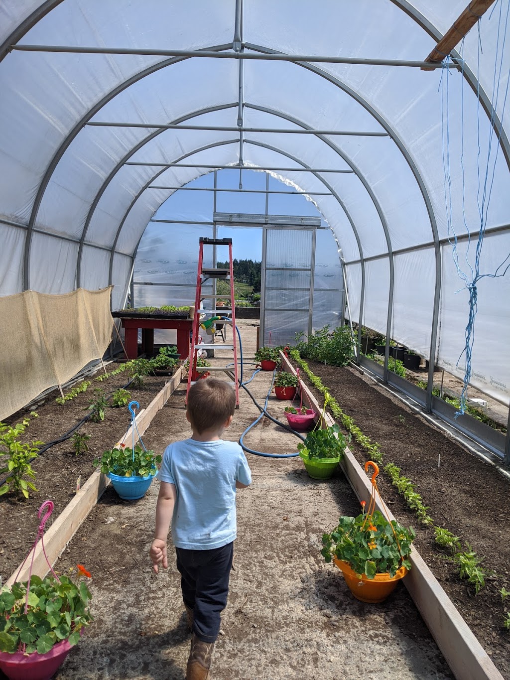 Hayward Farms | 765 Kilmalu Rd, Mill Bay, BC V0R 2P2, Canada | Phone: (250) 419-2458