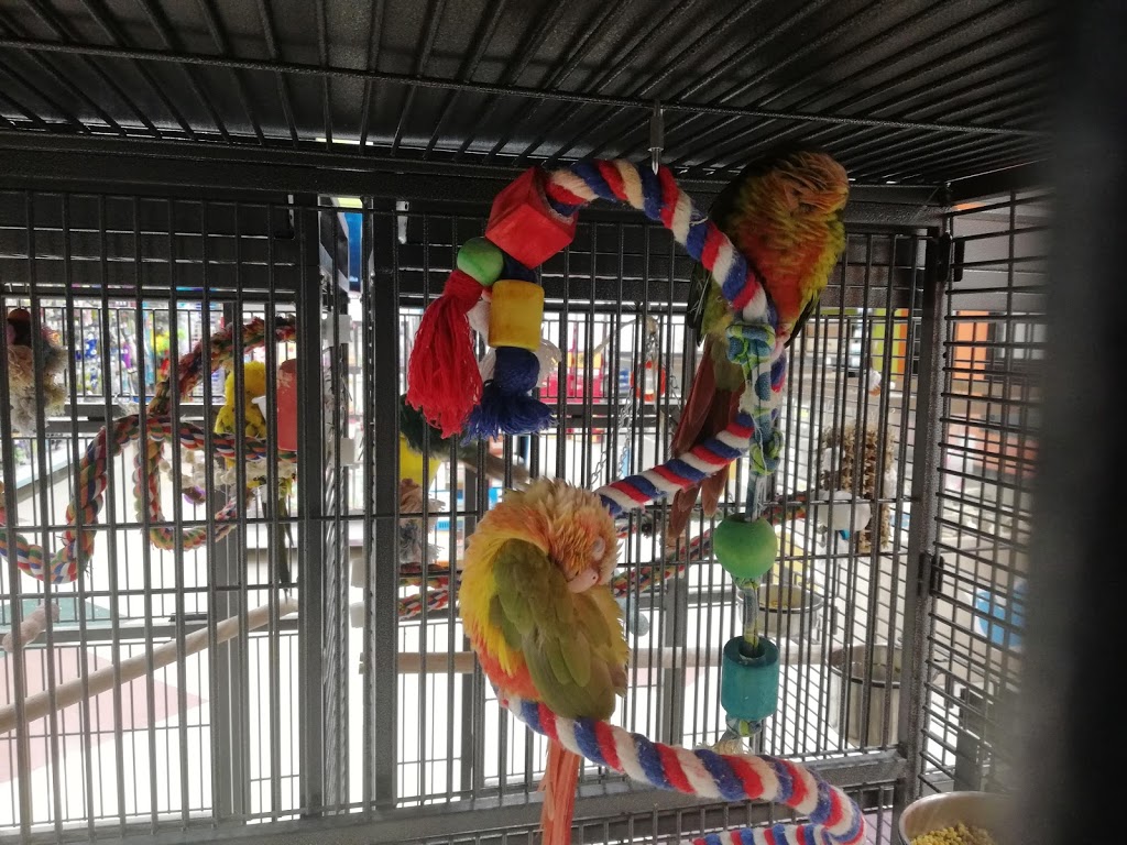 Petland | Shawnessy, 580, 303 Shawville Blvd SE, Calgary, AB T2Y 3W6, Canada | Phone: (403) 508-0040