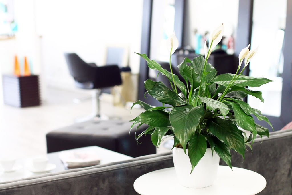 MAJ Hairsalon | 11 Victoria Rd N, Guelph, ON N1E 5G6, Canada | Phone: (519) 265-8357