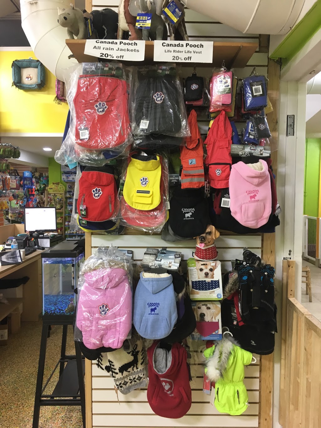 Pet Solutions Canada | 3350 Dufferin St, North York, ON M6A 3A4, Canada | Phone: (416) 787-3200