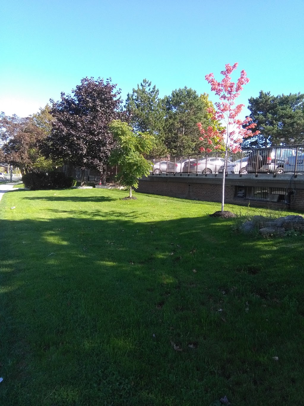 Millwood Park | 4370 Bloor St W, Toronto, ON M9C 2A6, Canada