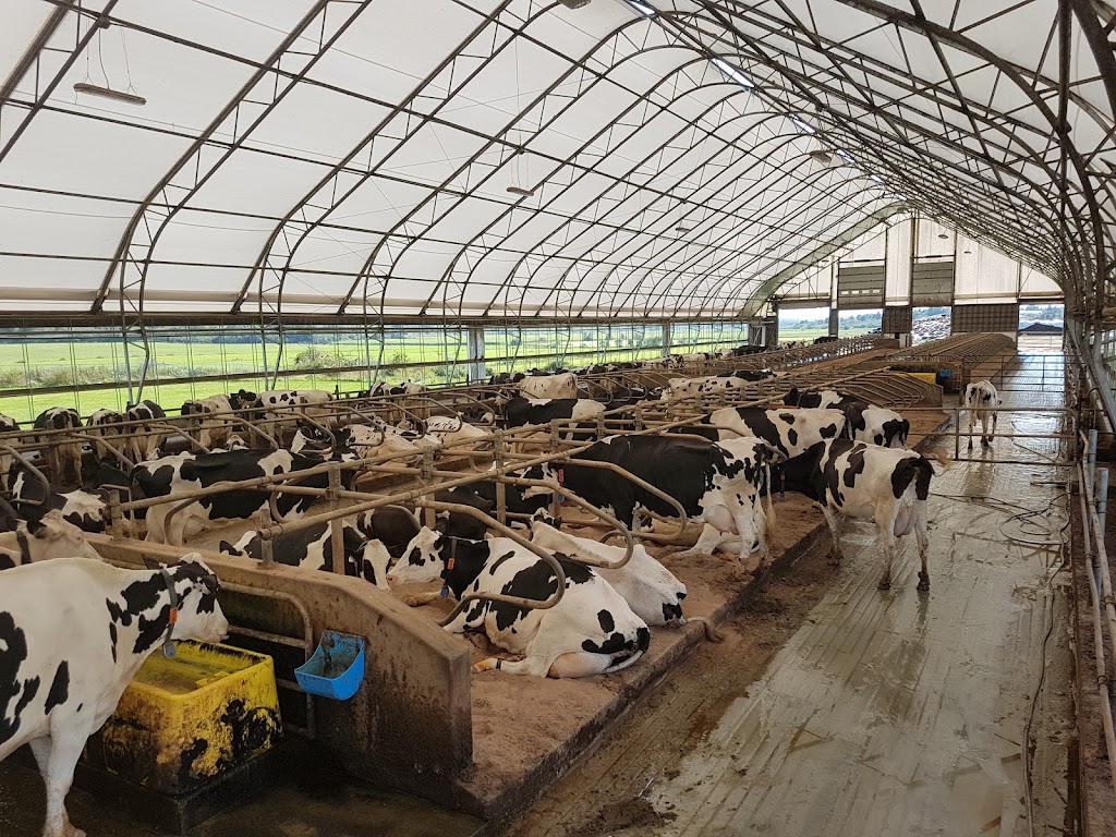 Bishop Farms Ltd | Roundhill Rd, Annapolis Royal, NS B0S 1A0, Canada | Phone: (902) 532-2782