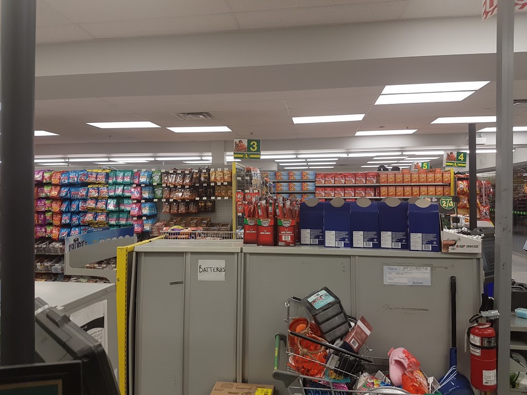 Dollarama | Achat Domaine, 3235 Avenue de Granby, Montréal, QC H1N 2Z7, Canada | Phone: (514) 257-9657