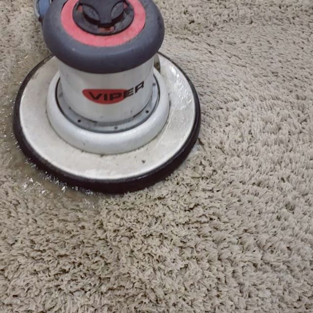 Rug Washing Unlimited | 4081 McConnell Dr, Burnaby, BC V5A 3A7, Canada | Phone: (604) 321-7440