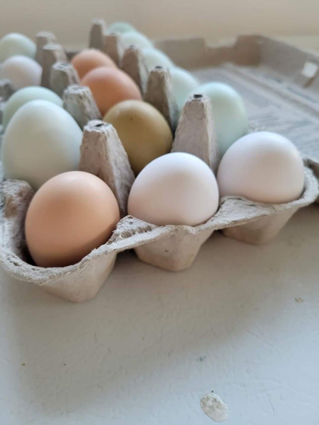Rosenglitter Care Farm | 8061 2 Line, Arthur, ON N0G 1A0, Canada | Phone: (519) 831-6423