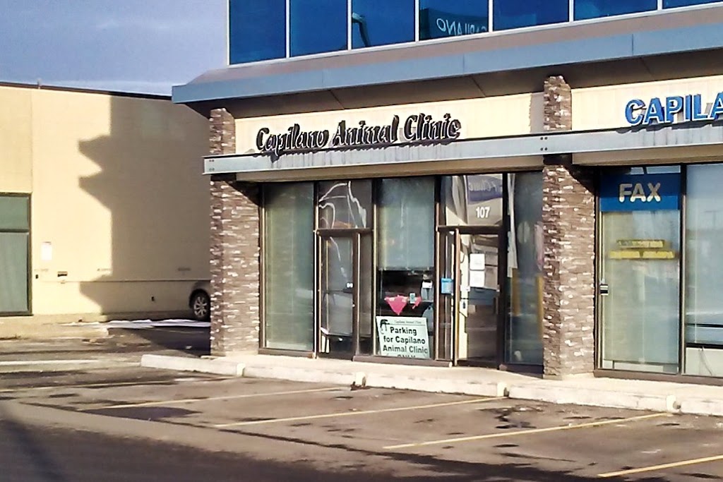 Capilano Animal Clinic | 9945 50 St NW #107, Edmonton, AB T6A 0L4, Canada | Phone: (780) 469-0657