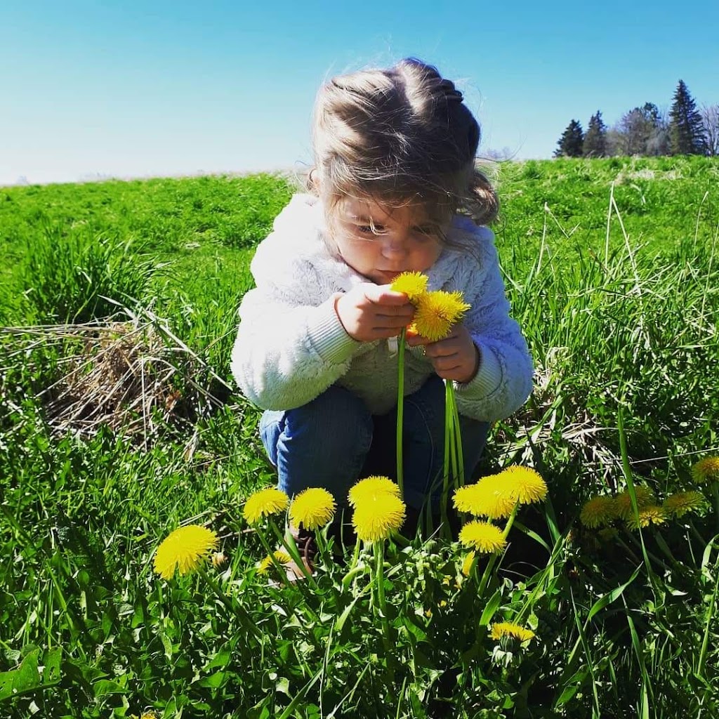 Melissas In-Home Daycare | 20401 Simcoe St, Seagrave, ON L0C 1G0, Canada | Phone: (905) 999-4819