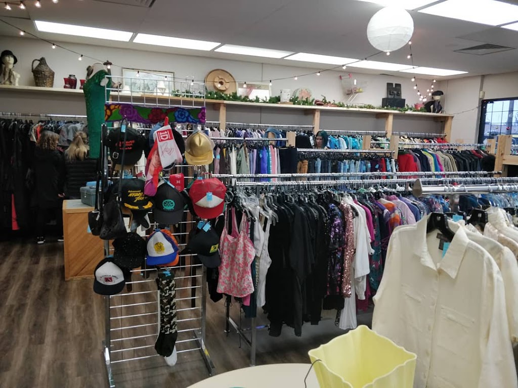 Mintage Thrift | store | 22780 Dewdney Trunk Rd, Maple Ridge, BC V2X 3K2, Canada | 6043803169 OR +1 604-380-3169