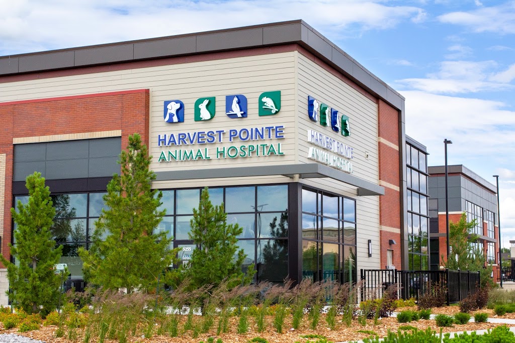 Harvest Pointe Animal Hospital | 5255 Ellerslie Rd SW, Edmonton, AB T6X 1X2, Canada | Phone: (587) 735-6677