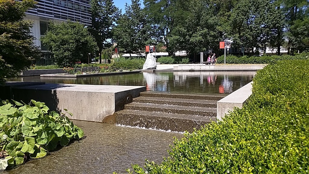 Langara College | 100 W 49th Ave, Vancouver, BC V5Y 2Z6, Canada | Phone: (604) 323-5511