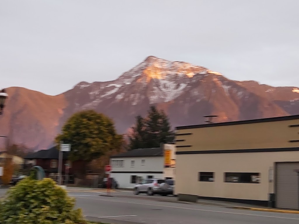 Red Apple Store | 7116 Pioneer Ave, Agassiz, BC V0M 1A0, Canada | Phone: (604) 796-9591
