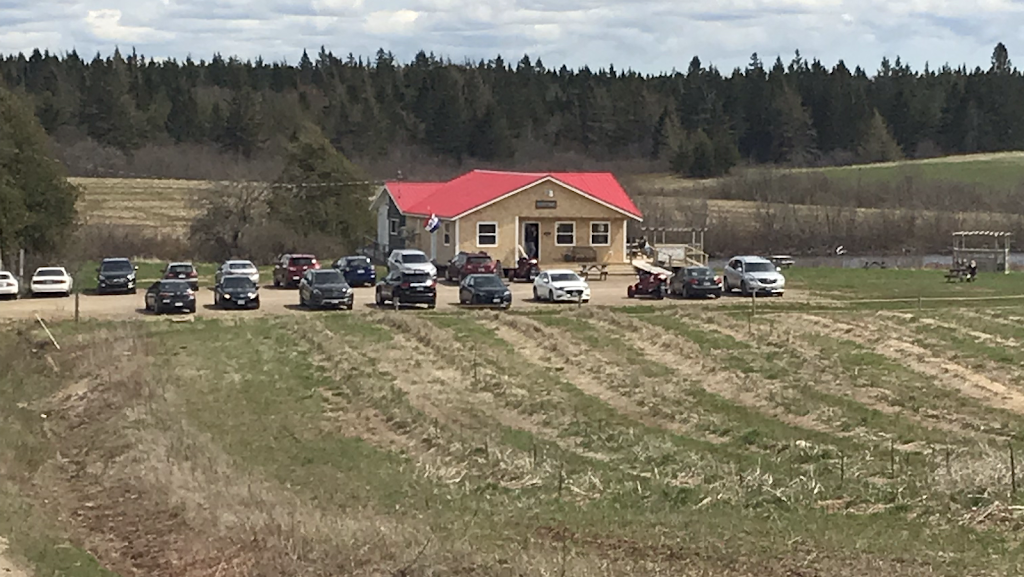 Trueman Blueberry Farms | 255 Etter Ridge Rd, Aulac, NB E4L 2V2, Canada | Phone: (506) 364-7458