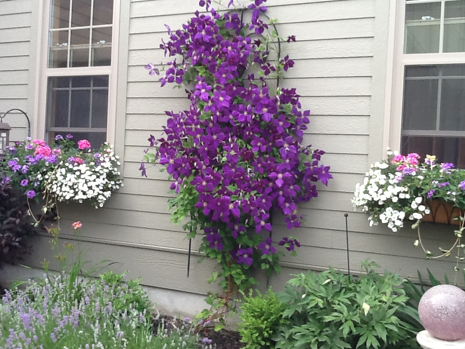 Amherst House Bed and Breakfast | 804 Hudson St, Cobourg, ON K9A 0G4, Canada | Phone: (289) 252-1087