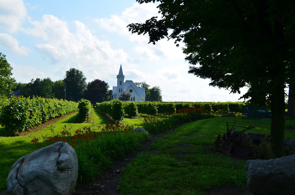 Vignoble 1292 | 1292 Rue Principale, Saint-Blaise-sur-Richelieu, QC J0J 1W0, Canada | Phone: (514) 447-7485