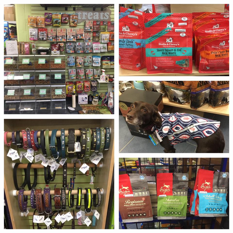 Paw Space Pet Boutique & Spa | 3989 Quadra St #403, Victoria, BC V8X 1J8, Canada | Phone: (778) 265-7297