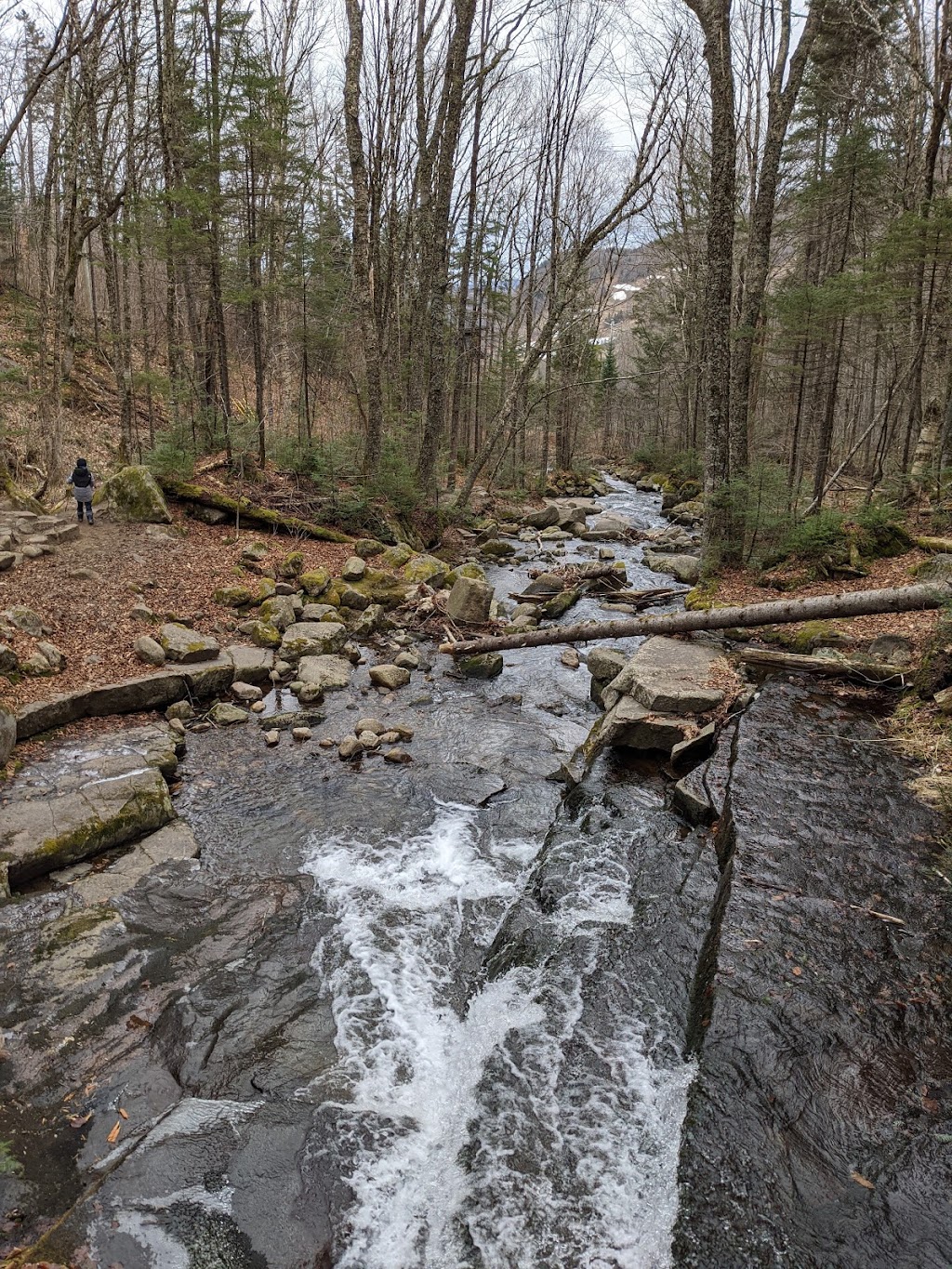 Stoneham Mountain Resort | 600 Chem. du Hibou, Stoneham-et-Tewkesbury, QC G3C 1T3, Canada | Phone: (418) 848-2415