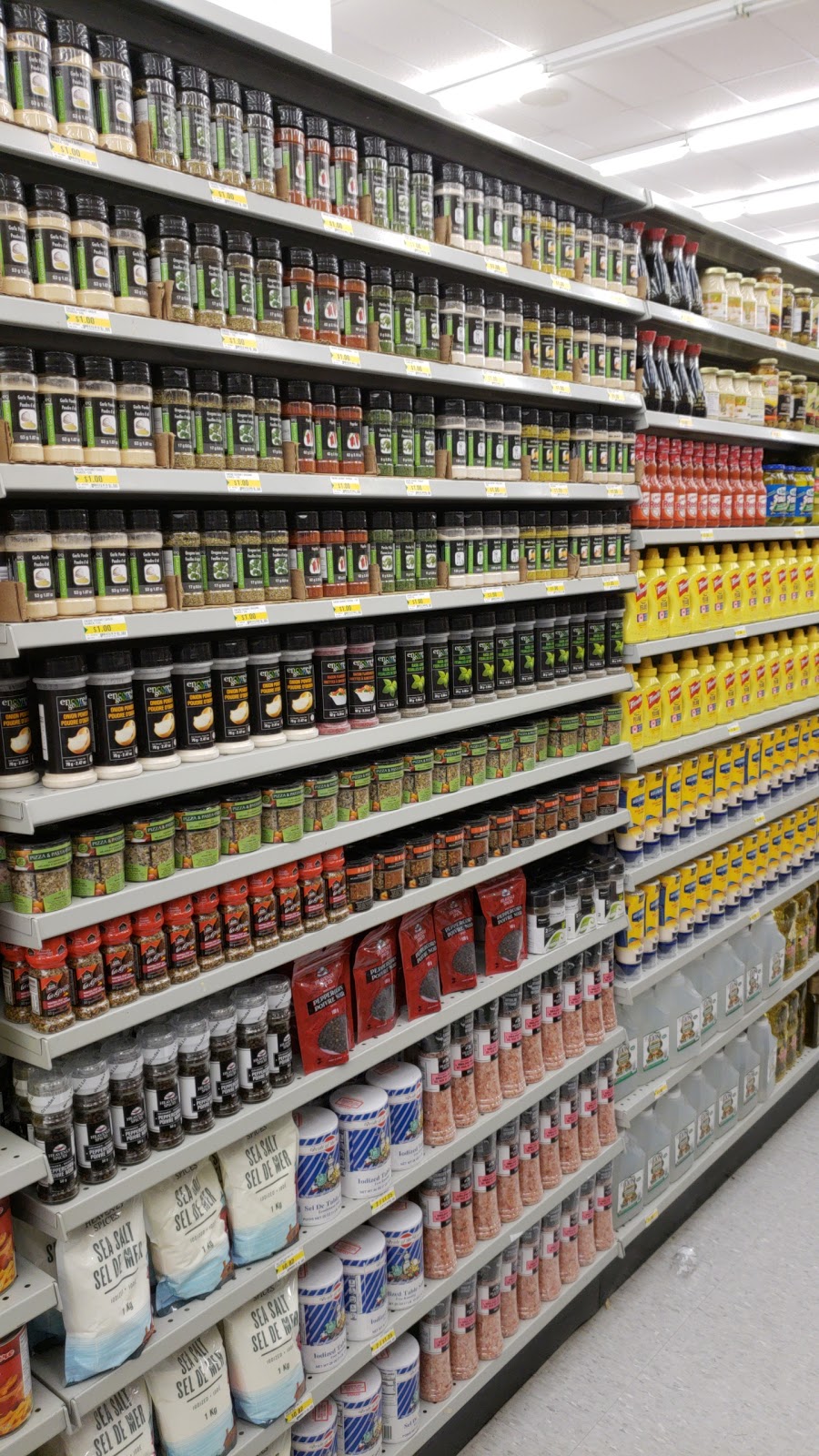 Dollarama | 235 Guelph St, Georgetown, ON L7G 4A8, Canada | Phone: (905) 873-0379