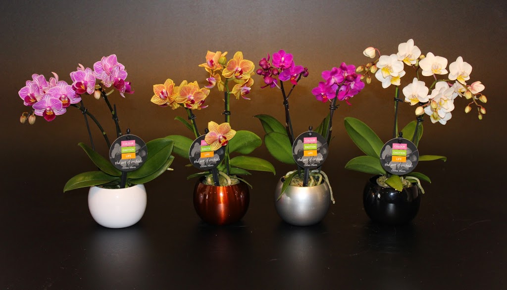 CosMic Plants Inc. | 4665 Bartlett Rd, Beamsville, ON L0R 1B1, Canada | Phone: (905) 562-9389