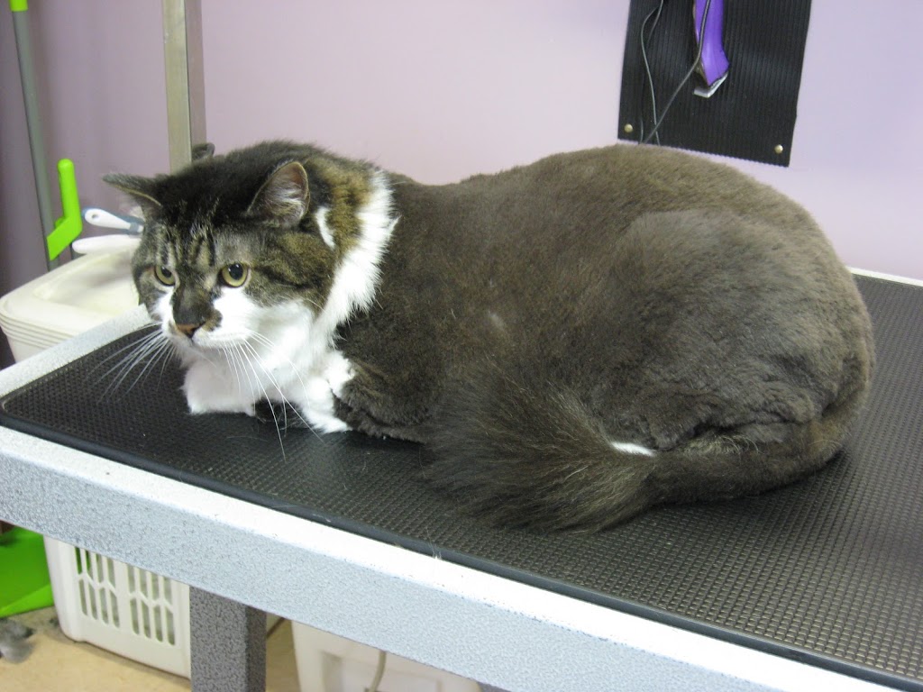 Aux PTits Soins | 191 QC-216, Stoke, QC J0B 3G0, Canada | Phone: (819) 878-3246