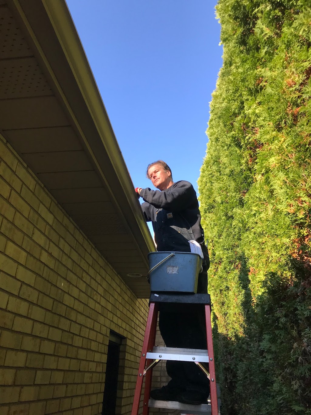 S.S Cleaning Inc. | 65 Central Dr, Ancaster, ON L9G 2A1, Canada | Phone: (905) 304-7676