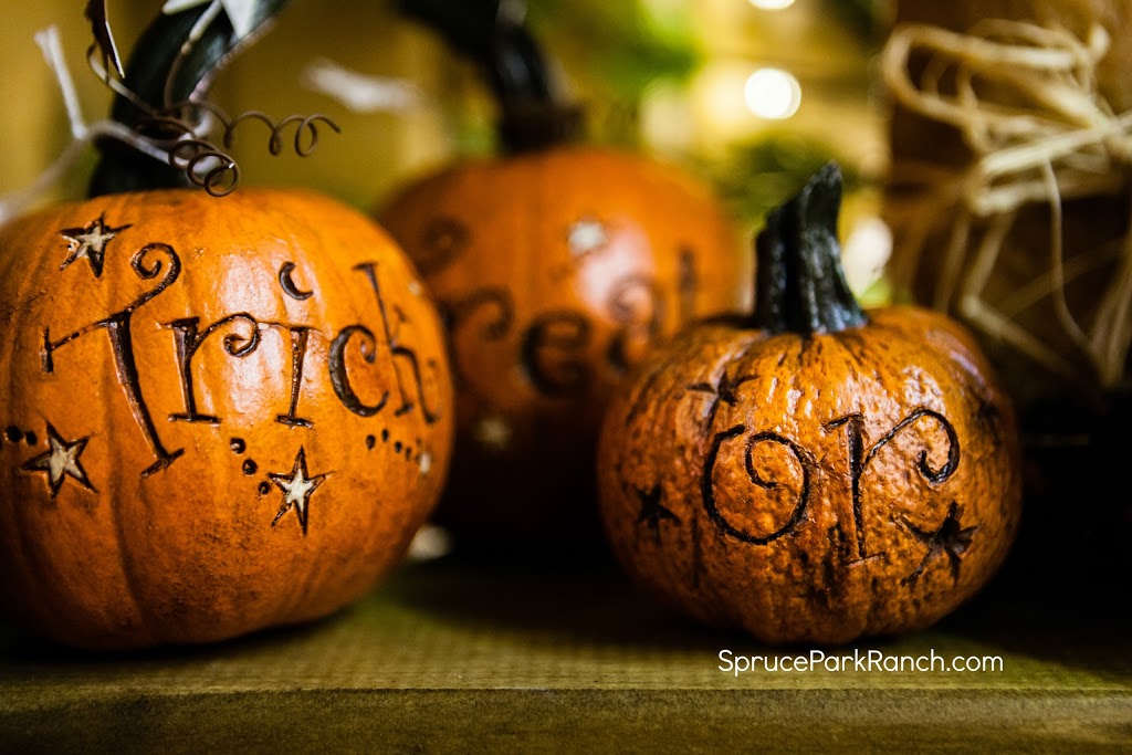Spruce Park Ranch Country Store & Coffee Shop | 51432 Range Rd 273, Spruce Grove, AB T7Y 1H7, Canada | Phone: (780) 963-5235