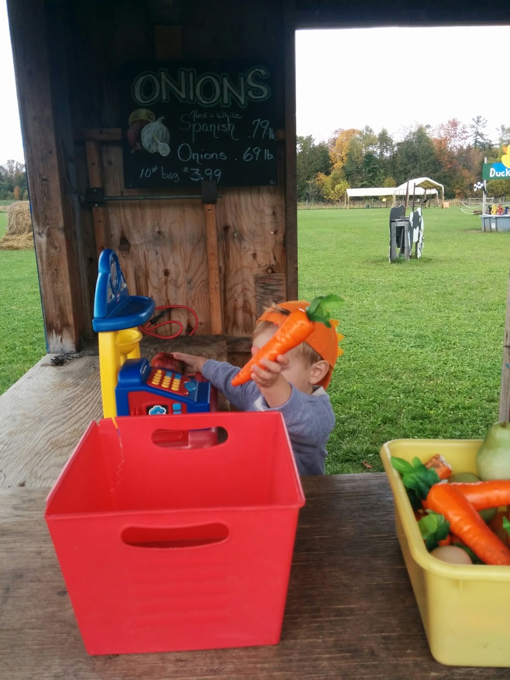 Hewitts Farm Market & Bakery | 3331 Town Line, Coldwater, ON L0K 1E0, Canada | Phone: (705) 325-3000