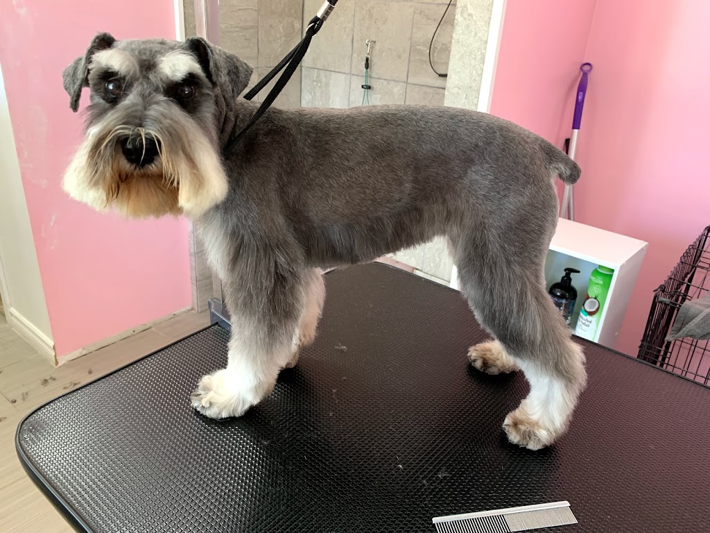 Goode Fur-Baby Salon & Spa | 173 Victoria St, Ingersoll, ON N5C 2N2, Canada | Phone: (519) 240-4038