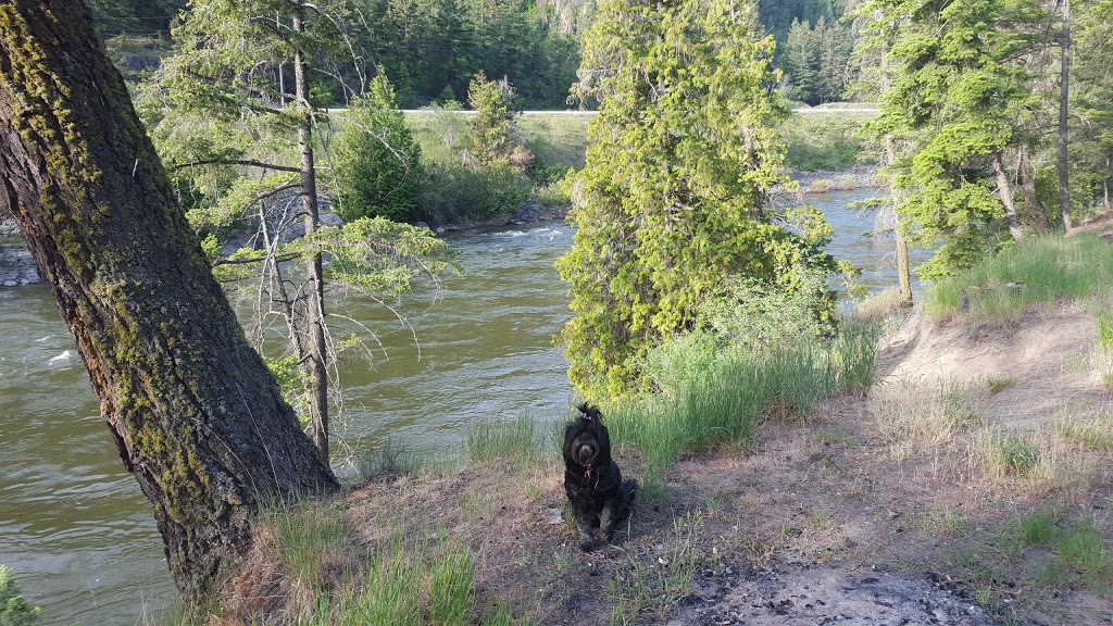 Gallery B&B | 205 Ashnola Rd, Keremeos, BC V0X 1N1, Canada | Phone: (250) 499-8892