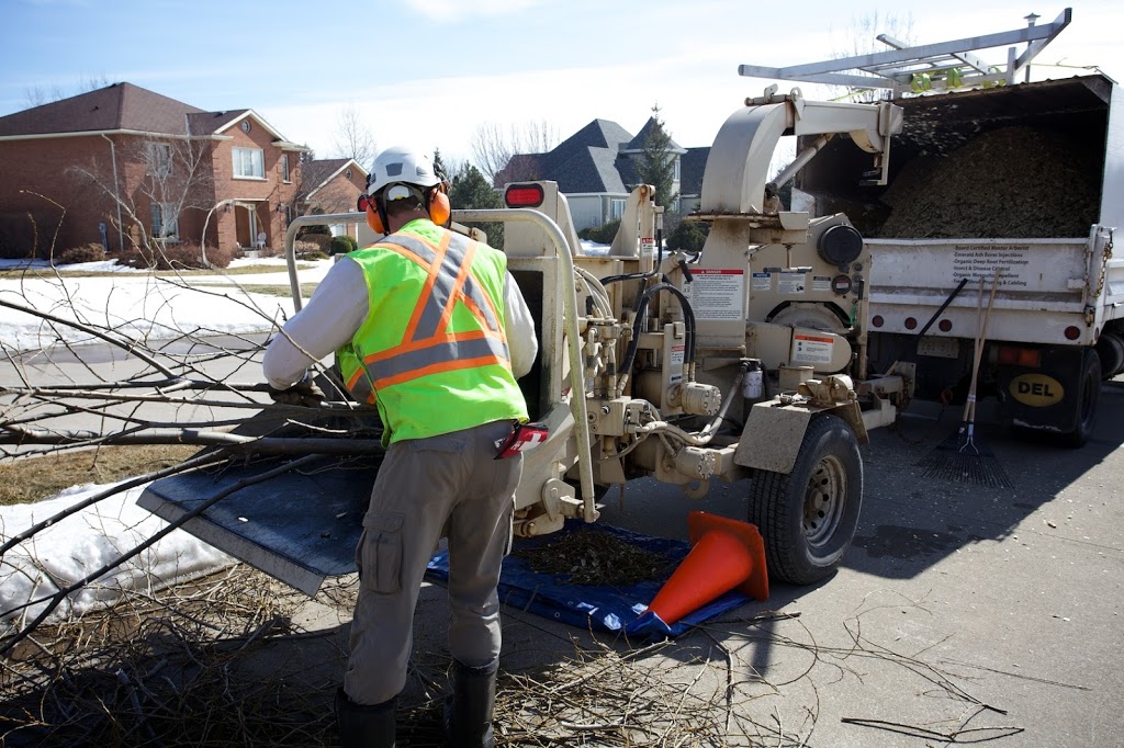 Buchanan Expert Tree Care Inc | 370 Welland Rd, Fenwick, ON L0S 1C0, Canada | Phone: (905) 892-6579