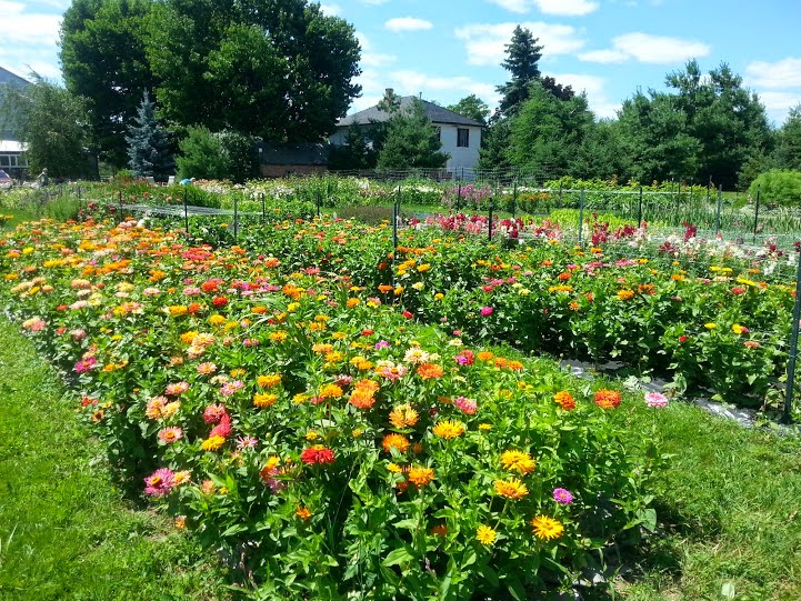 Maple Meadows Farm - Event Centre | 736 Weaver Rd, Port Colborne, ON L3K 5V3, Canada | Phone: (905) 834-9136