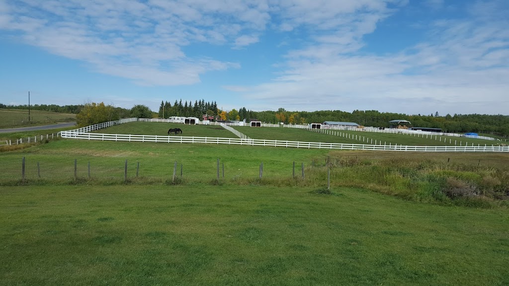 Higher Ground Horse Boarding | 52161 Range Rd 220, Sherwood Park, AB T8E 1B8, Canada | Phone: (780) 905-9333