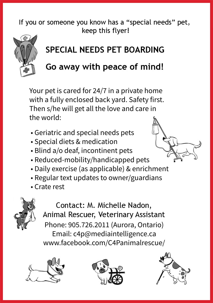 C4P Special Needs Pet Boarding | 63 Victoria St, Aurora, ON L4G 1R3, Canada | Phone: (905) 726-2011