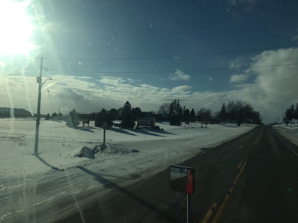 Chubbies Auto | 5241 Perth County Line 86, Listowel, ON N4W 3G8, Canada | Phone: (519) 291-9247