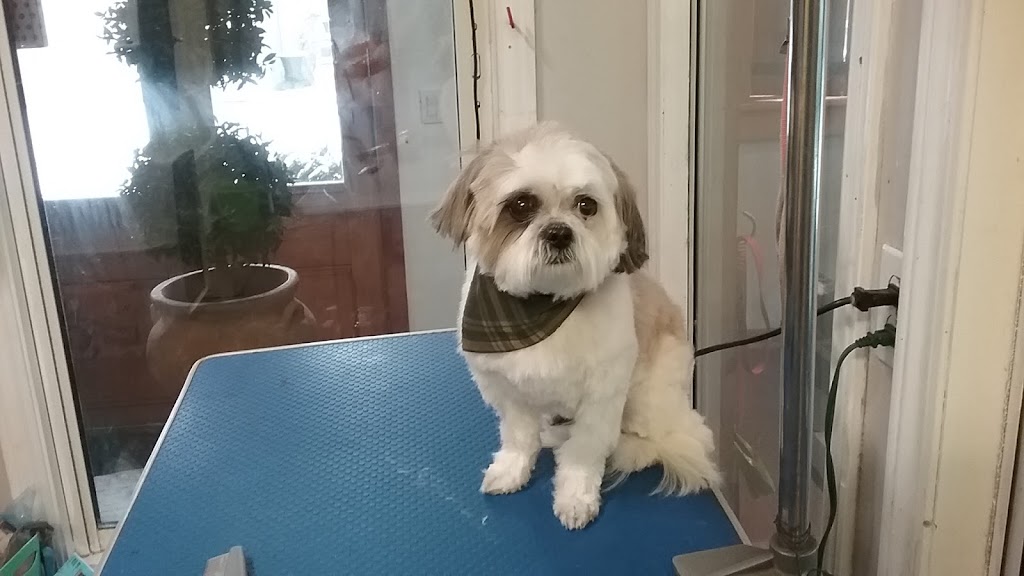 The Groomer | 255 Wellington St S, St. Marys, ON N4X 1B8, Canada | Phone: (519) 284-0036