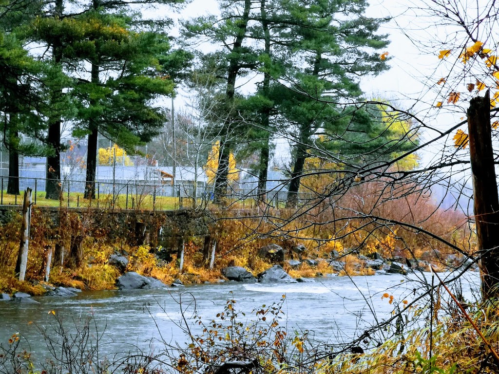 Coq au Quebec | 717 Rue Laviolette, Saint-Jérôme, QC J7Y 2V4, Canada | Phone: (450) 431-5252