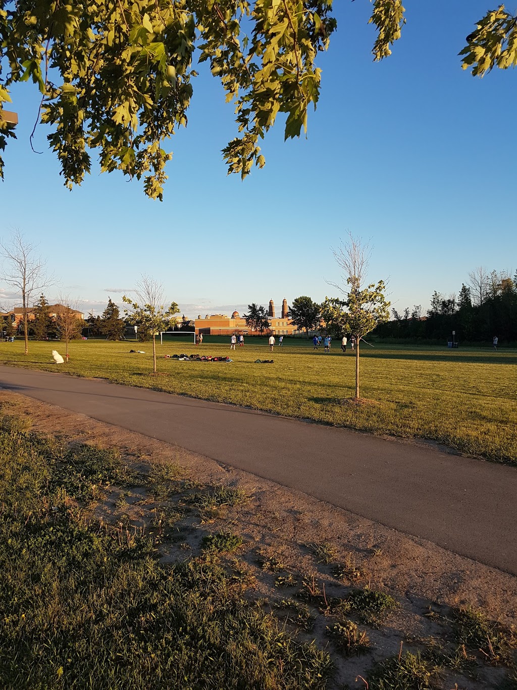 Willowvale Fields | 1340 Willowvale Gardens, Mississauga, ON L5V 2C6, Canada