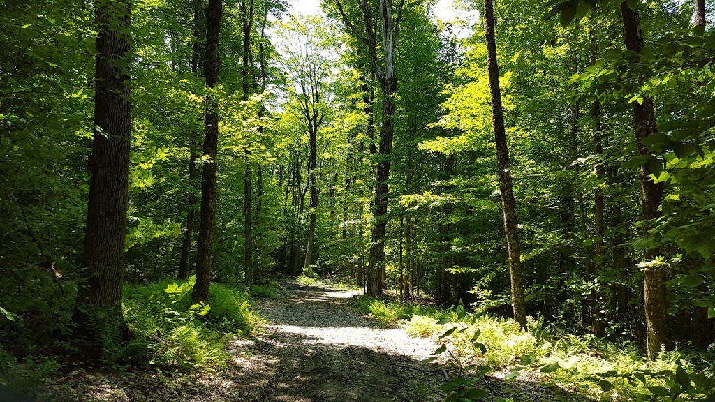 Les Charmilles dOrford | 22 Chemin des Castors, Eastman, QC J0E 1P0, Canada | Phone: (450) 297-1007