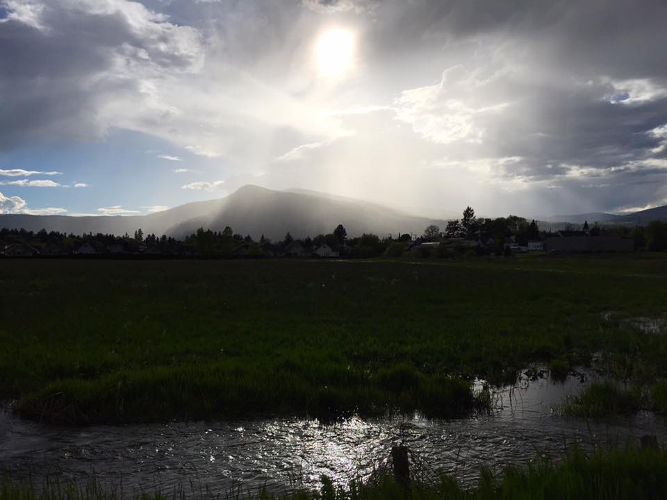 Dollar Dollar Armstrong | 3305 Smith Dr #4, Armstrong, BC V0E 1B1, Canada | Phone: (250) 546-0535