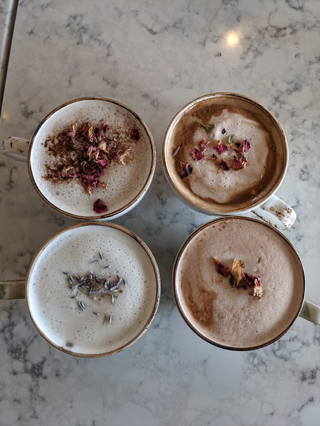 The Moth Cafe | 9449 Jasper Ave, Edmonton, AB T5H 3T8, Canada | Phone: (780) 244-9702