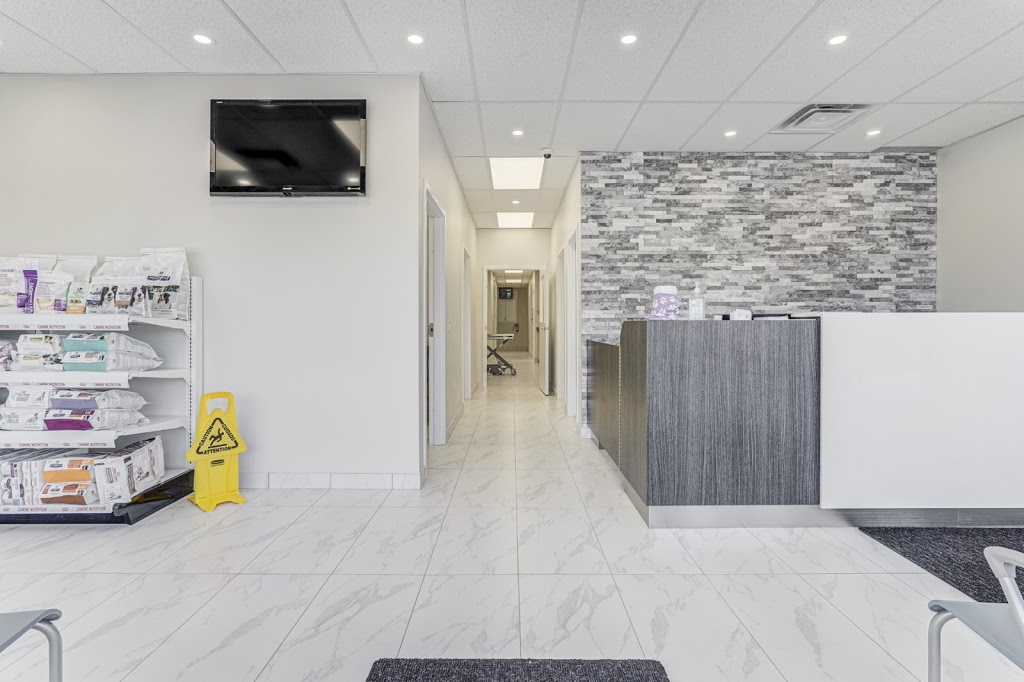Springwood Animal Hospital (& HouseCall Services) | Springwood Animal Hospital, 1645 Dundas St E, Whitby, ON L1N 2K9, Canada | Phone: (905) 240-8100