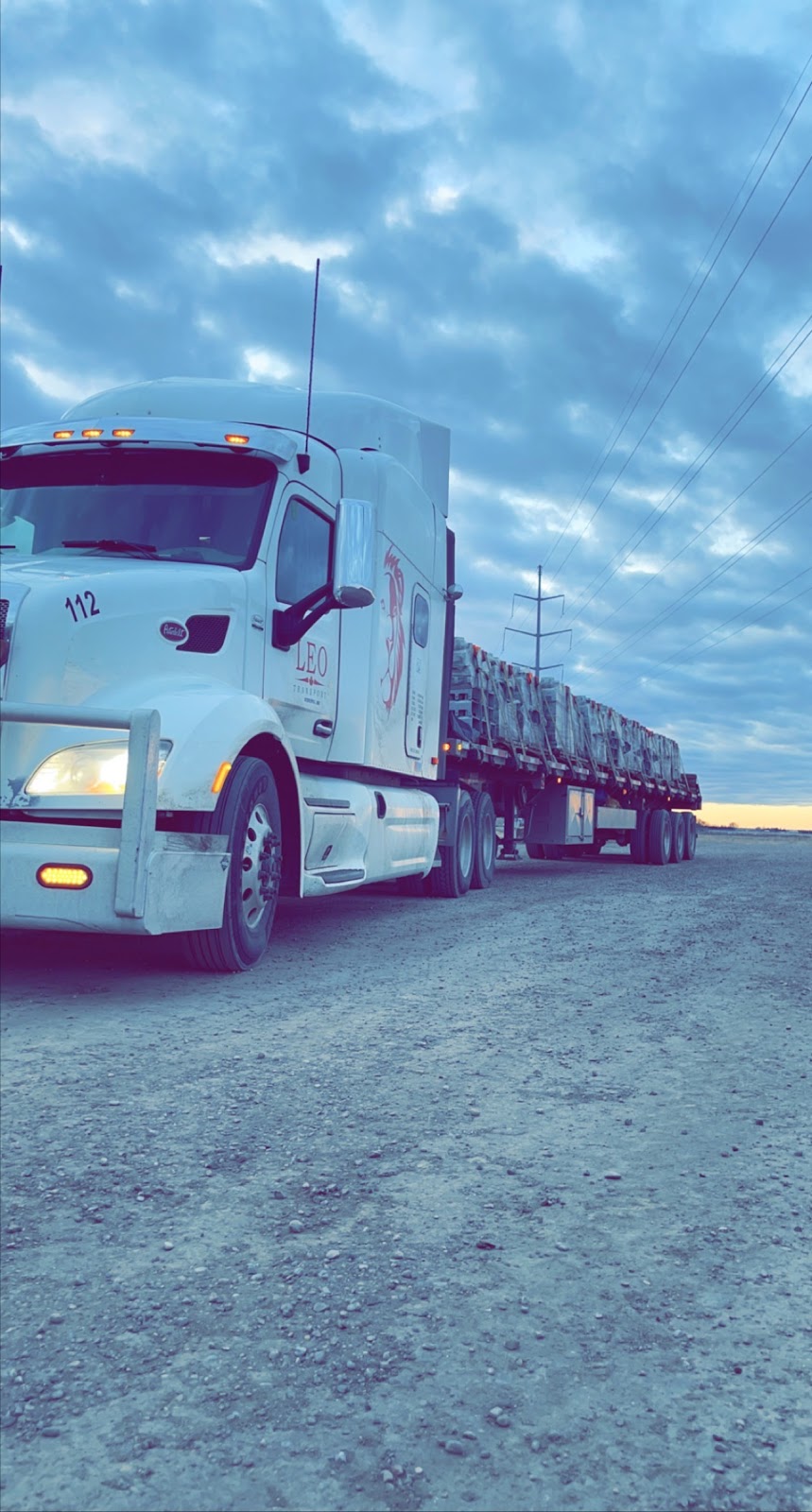 Leo Transport Ltd | 11 Vervain Drive #4, Rosser, MB R0H 1E0, Canada | Phone: (204) 671-3536