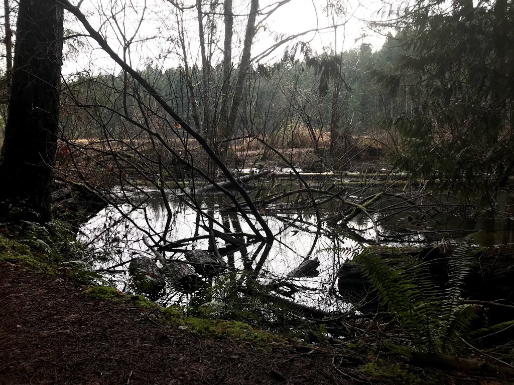 Hemer Provincial Park | Hwy 1, Nanaimo, BC V9X 1J3, Canada | Phone: (250) 474-1336