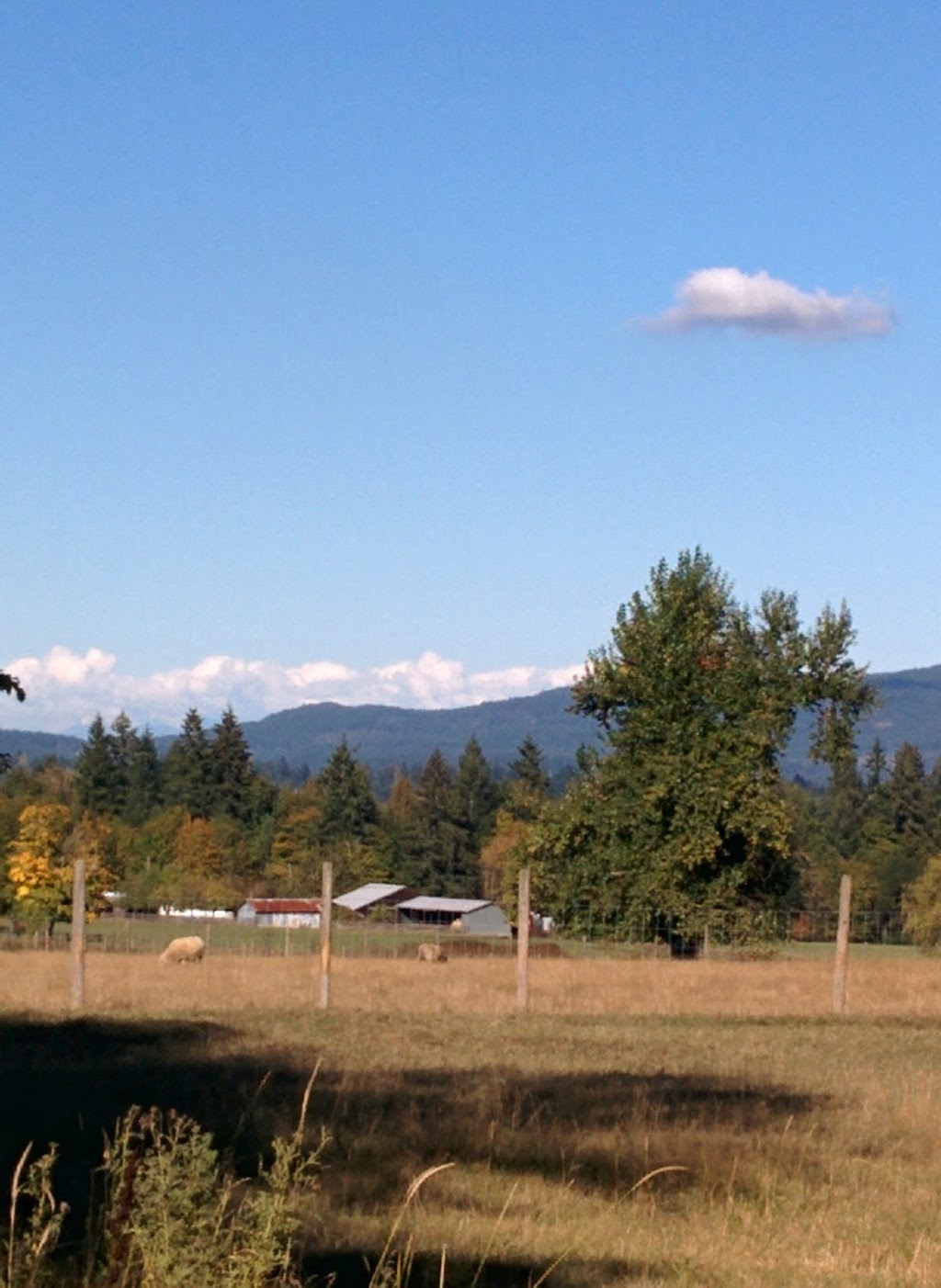 Keating Park | Cowichan Valley E, BC V9L 6R8, Canada | Phone: (250) 746-2620