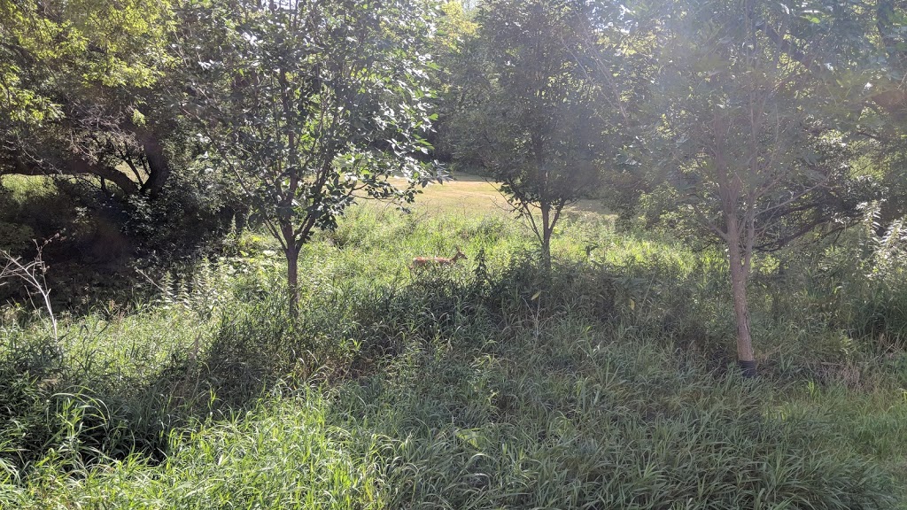 Beauchemin Park | Southboine, Winnipeg, MB R3R, Canada