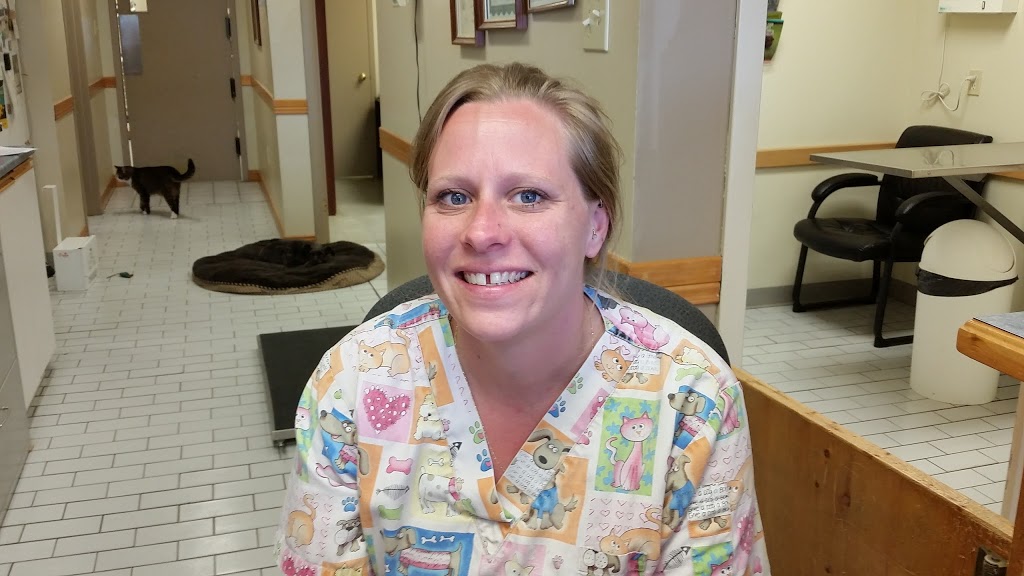 Collins Bay Animal Hospital | 4037 Bath Rd, Kingston, ON K7M 4Y4, Canada | Phone: (613) 384-1010