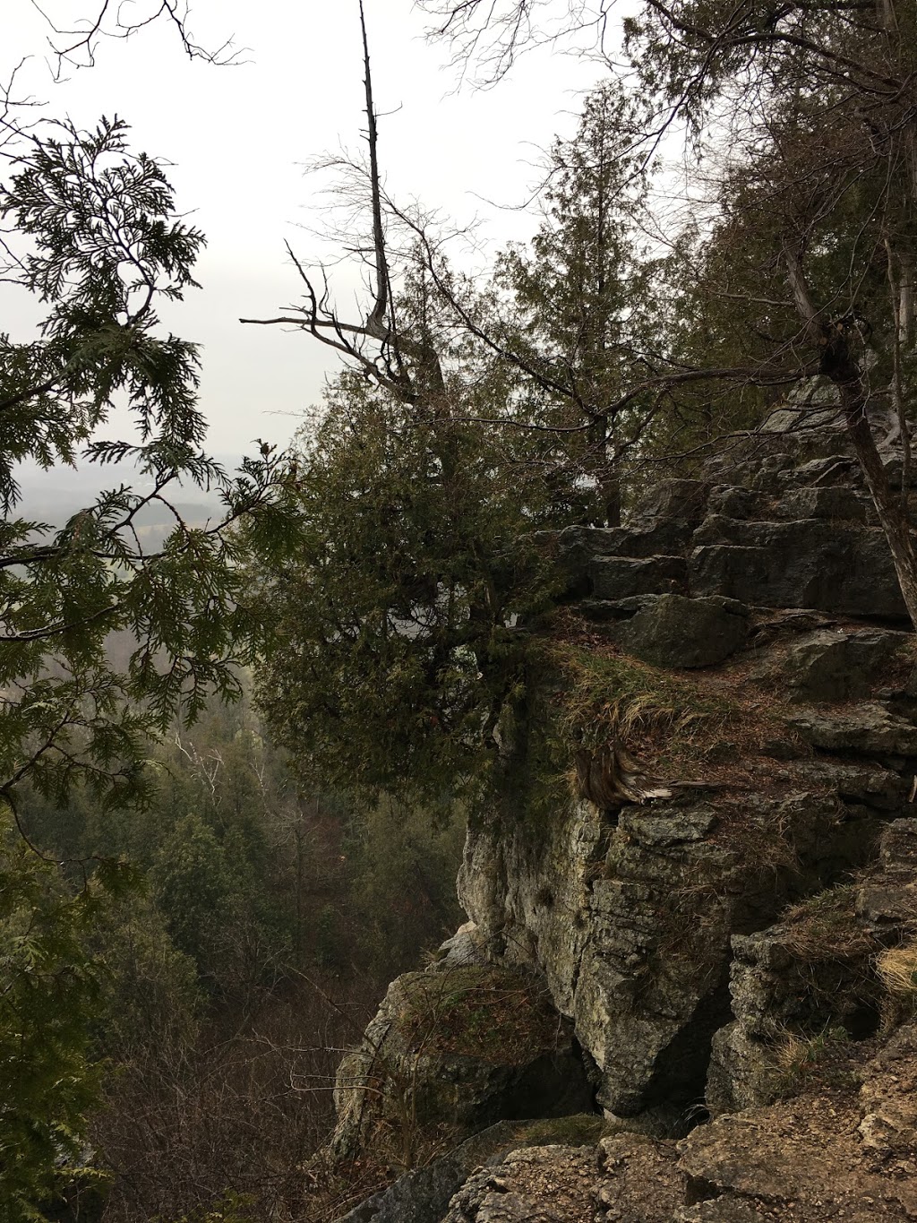 Rattlesnake Point Conservation Area | 7200 Appleby Line, Milton, ON L9E 0M9, Canada | Phone: (905) 854-0262