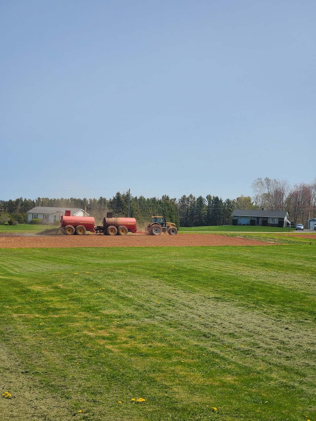Lil Farm on the Jib | 84 MacLennan Rd, Hazelbrook, PE C1B 0N5, Canada | Phone: (902) 569-1133